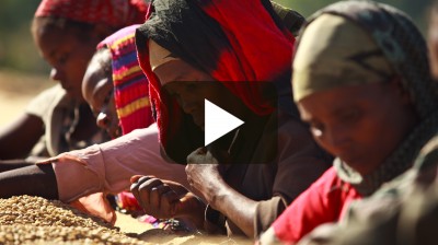 Episode 148: there is only coffee