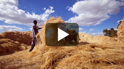 Episode 149: A Craftsman