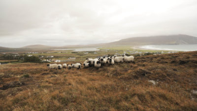 Episode 171: The Women of Achill Island