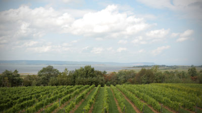 Episode 176: Lightfoot