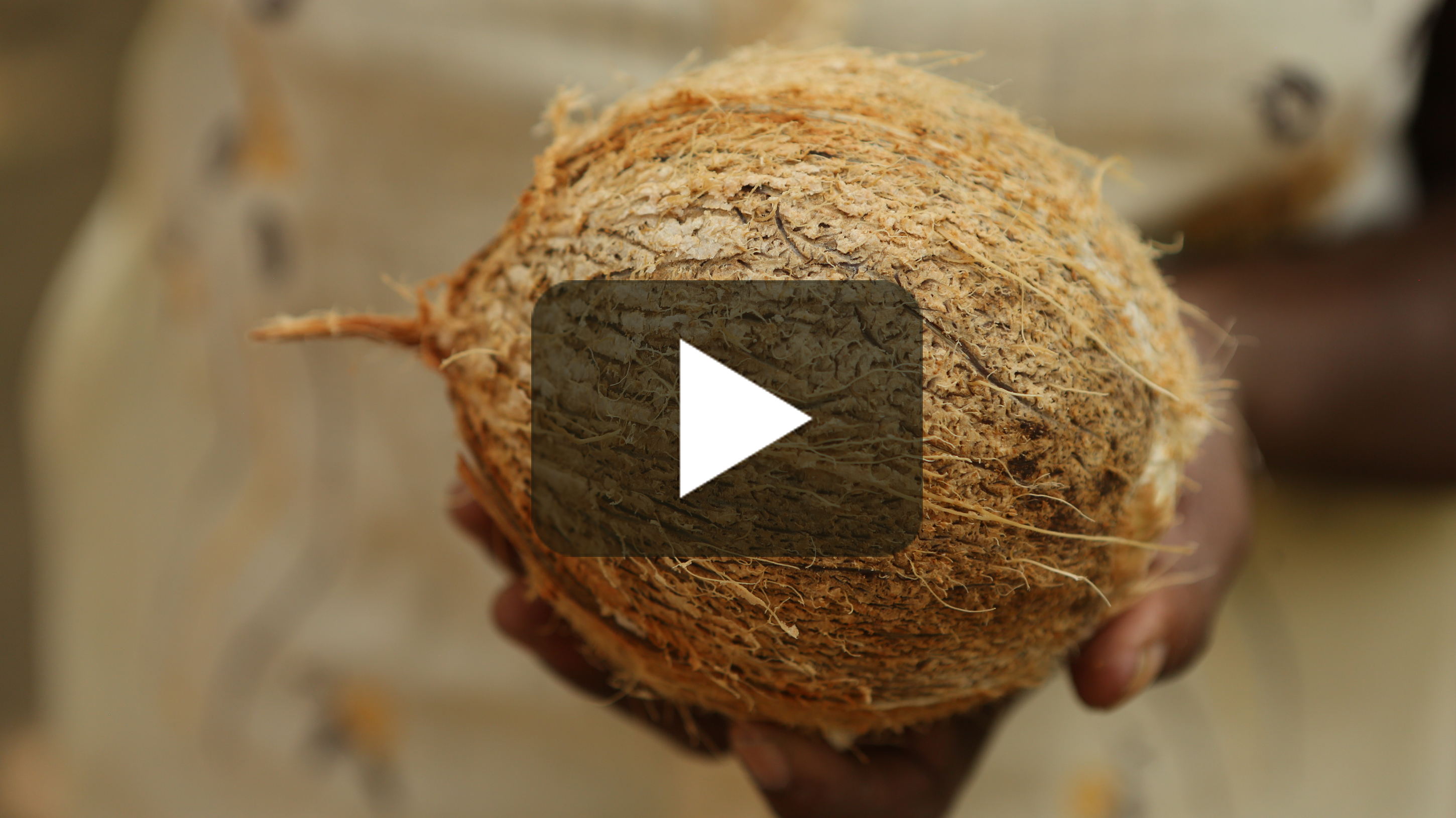 Head to tail cookbook. Nose tail. Nose to tail. Beef parts. Beef parts.