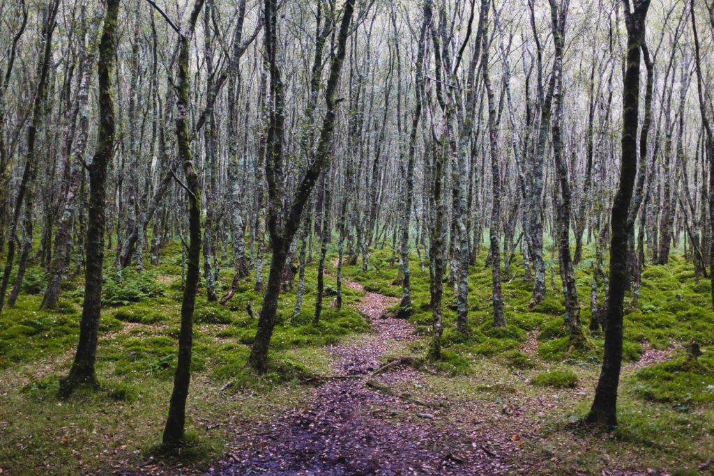 brey_glendalough-5